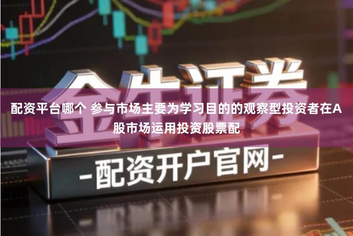 配资平台哪个 参与市场主要为学习目的的观察型投资者在A股市场运用投资股票配