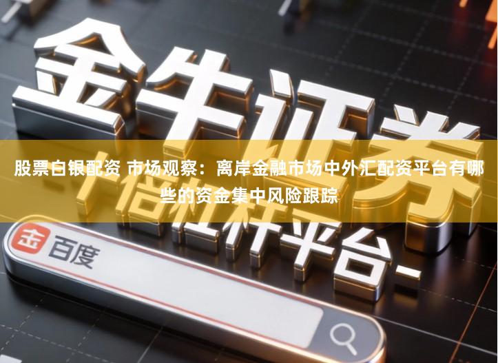 股票白银配资 市场观察:离岸金融市场中外汇配资平台有哪些的资金集中风险跟踪